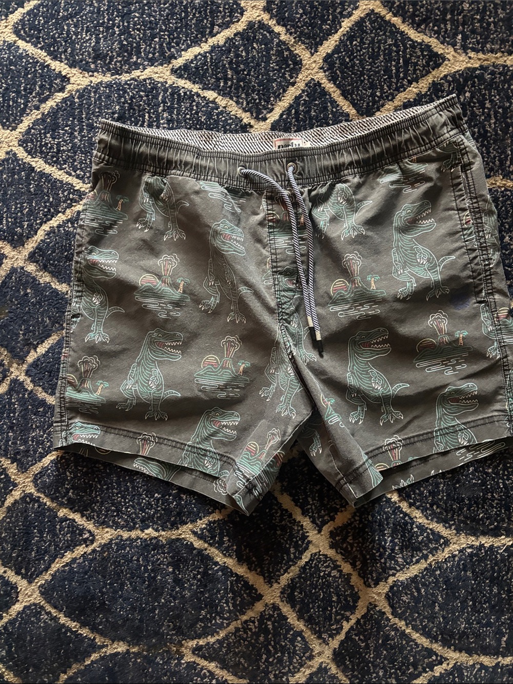 Men's Gray Swim Trunks with Mint Dino Print